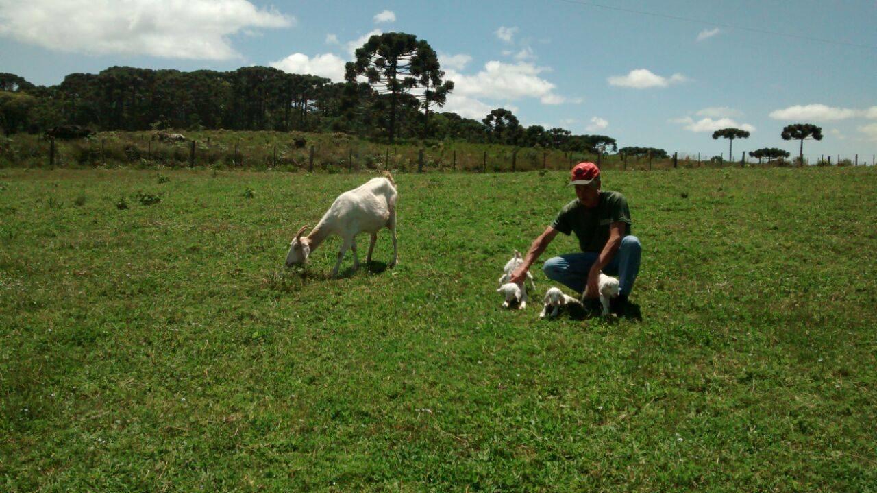 Chalés Rincão Comprido Canela Exterior foto